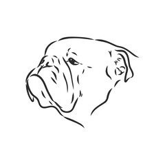 Line art of french bulldog with three difference of face