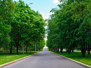 long walking path in the park in summer