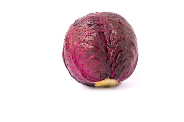 purple cabbage with water on it isolated on white background