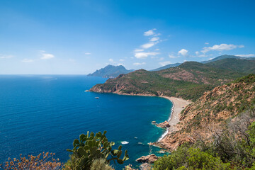 Fototapeta na wymiar Bussaglia beach on coast of Corsica