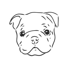 Line art of french bulldog with three difference of face