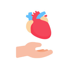 hand that supports internal organs The concept of organ donation for the treatment of patients