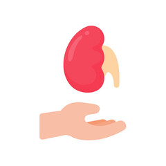 hand that supports internal organs The concept of organ donation for the treatment of patients
