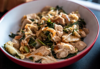 A close up of chicken stir fry with crispy vegetables and egg noodles in a bowl. Selective focus, shallow depth of field and bokeh
