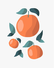 Stylized hand drawn orange fruit with leaves. Hand drawn vector orange illustration isolated on white background