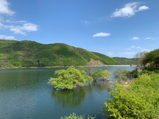 Fototapeta premium lake in the forest