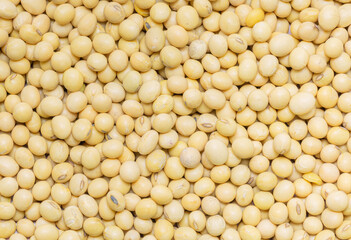Macro soybean,Soybeans shot from above. Premium grade soybeans