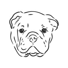 Line art of french bulldog with three difference of face