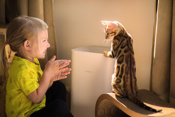 A little girl in a yellow T-shirt plays with a bengal cat, which stands with its back by the window...
