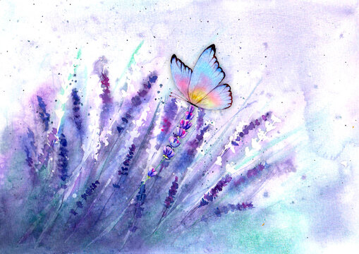 Meadow lavender horizontal background with colorful butterfly.