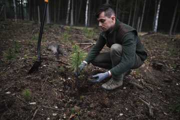 Close-up on a young man in a green clothes plants a young pine seedling in the forest. Work in forest. Pinus sylvestris, pine forest.