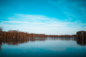 landscape with lake