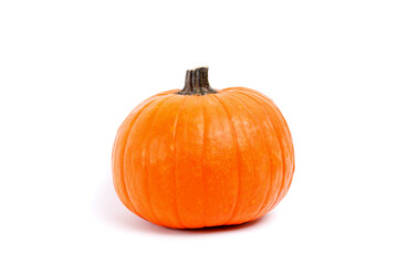 Close up shot of a single classic orange pumpkin isolated on bright background as a symbol of autumnal holidays with a lot of copy space for text.polished