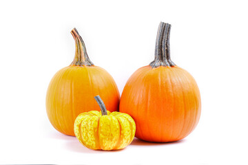 Close up shot of a classic orange and baby boo pumpkins isolated on white background as a symbol of autumnal holidays with a lot of copy space for text.
