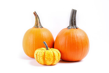 Close up shot of a classic orange and baby boo pumpkins isolated on white background as a symbol of autumnal holidays with a lot of copy space for text.
