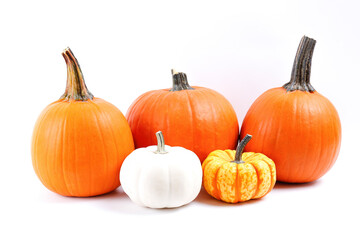 Bunch of classic orange, hooligan and baby boo pumpkins isolated on bright background as a symbol of autumnal holidays with a lot of copy space for text. Close up.