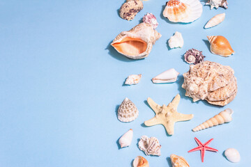 Obraz na płótnie Canvas Summer vacation concept. Assorted seashells on a pastel blue background