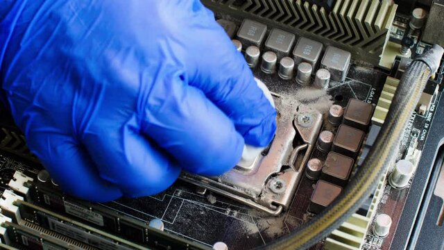 Electronics repair technician with a blue glove carefully cleans the computer processor on the motherboard of a desktop computer of old used coolant with a cotton pad and cleaning fluid. Close up
