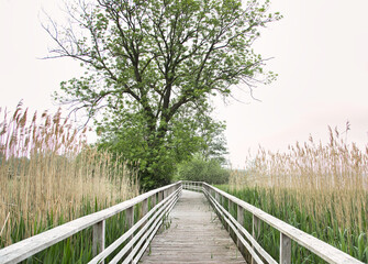 Fototapeta premium Entspannter Spaziergang