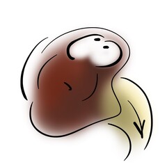 Big fat kidney looking up