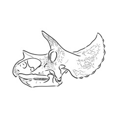 Graphical triceratops isolated on white background,vector illustration for printing © Elala 9161