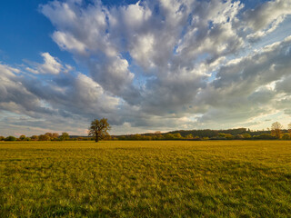 Fototapeta na wymiar Sonnenuntergang im Vogelschutzgebiet NSG Garstadt bei Heidenfeld im Landkreis Schweinfurt, Unterfranken, Bayern, Deutschland