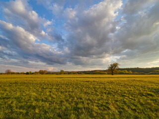 Sonnenuntergang im Vogelschutzgebiet NSG Garstadt bei Heidenfeld im Landkreis Schweinfurt, Unterfranken, Bayern, Deutschland