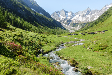 Fototapeta na wymiar Berghütten auf einer Hochalm in den österreichischen Bergen