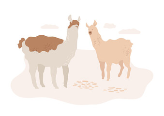 Cute alpacas on the farm. Beautiful lamas with hand drawn abstract wool textures. Friendly animal.