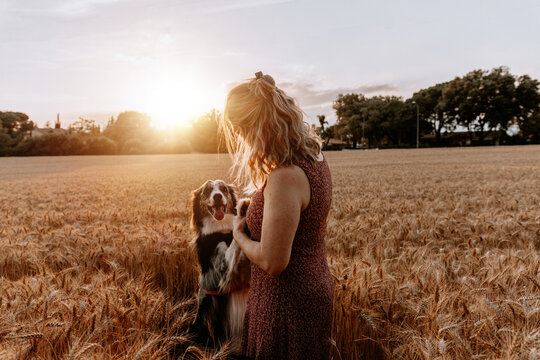 Senior middle-aged caucasian woman playing with border collie dog on wheat field. Friendship concept