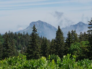 vue sur la Grande Sure à partir du Vercors