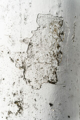 Biała zniszczona ściana, piękne tło, popękana tekstura. - obrazy, fototapety, plakaty