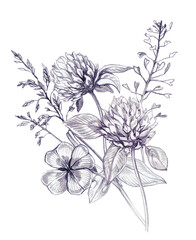 encil Sketch Wildflowers Bouquet. Hand Drawn Clover, Greenery, Spring Flowers Arrangement Isolated on White.