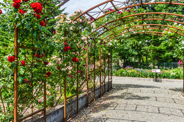 Rose Garden Arbors 3