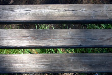 Fototapeta premium wooden bench in the park