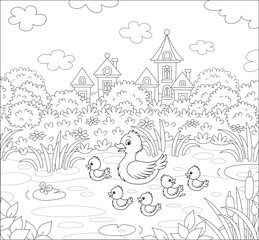 Cute duck and a merry brood of little ducklings on a pretty pond near a small village on a summer day, black and white outline vector cartoon illustration for a coloring book page