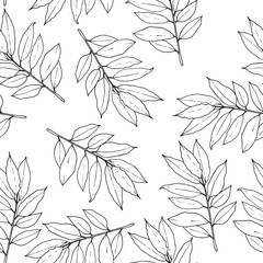 Seamless pattern. Vector illustration with bay leaf.