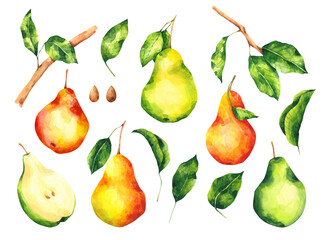 Watercolor pears and leaves cliparts set. Collection of pear fruit clip arts isolated on white background.. Bright botanical illustration.