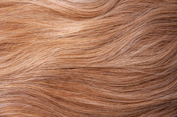 Long blond red hair. Hair texture. Background