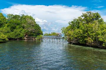 The bungalows in the Togian Islands resorts are often hidden on beautiful islets connected by boardwalks in shallow water. It's a paradise for divers and snorkelers and offers an incredible diversity 