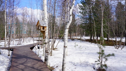 park spring snow trees wooden paths birdhouse on a tree    