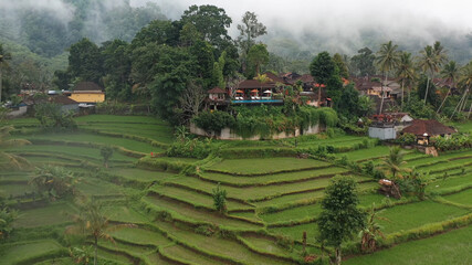 Fototapeta na wymiar Rice Terraces in Bali