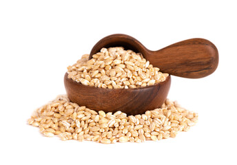 Pearl barley grains in wooden bowl and spoon, isolated on white background. Barley seed close up.