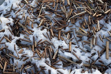 A pieces of reed plant sticks close up in snow ice shore beach at spring. Pattern. Dry short sticks close-up. Background from natural materials. Small pieces of dry tree branches. High quality photo