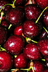 Lots of cherries after a refreshing shower.