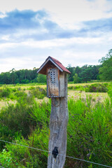 Insekten Hotel im Naturschutzgebiet Sanddünen, Sandweier - Baden-Baden