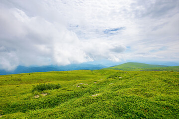 hills and meadows on the mountain plateau. wonderful green summer landscape. clouds on the sky, calm weather