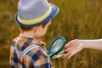 little boy exploring nature in the meadow with a magnifying glass