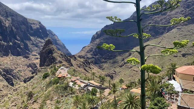 Scary Drive. Stunning scenery of the Masca Valley. Masca &ndash; a small village on Tenerife Island located 600 meters above the sea level.