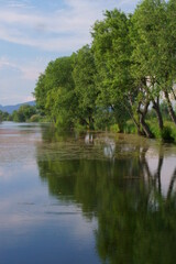Fototapeta na wymiar Background with the lake in Rotbav, Brasov, Transylvania, Romania 